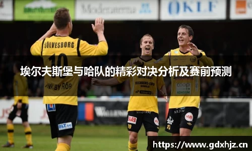 埃尔夫斯堡与哈队的精彩对决分析及赛前预测