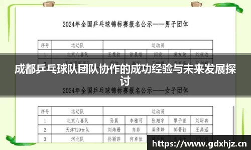 成都乒乓球队团队协作的成功经验与未来发展探讨