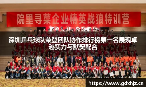 深圳乒乓球队荣登团队协作排行榜第一名展现卓越实力与默契配合